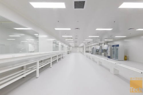 德卡实验室优秀项目“赋源生物研发中心”顺利竣工，助力惟物实验室迈向新篇章