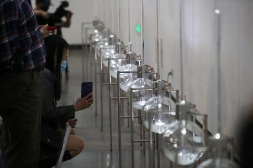 为生活加点油 随物生心，打开惟物实验室的神秘大门