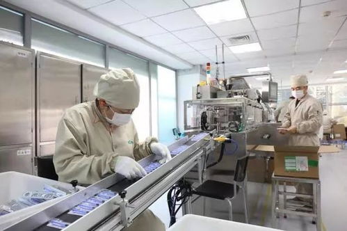 争分夺秒 中关村生物医药企业实验室里的战“疫”惟物实验室