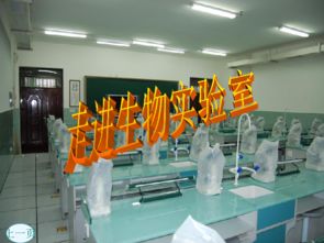 走进生物实验室 惟物实验室的微观世界探索